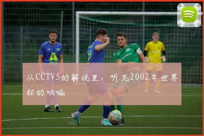 从CCTV5的解说里，听见2002年世界杯的呐喊