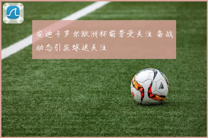 安迪卡罗尔欧洲杯前景受关注 备战动态引发球迷关注